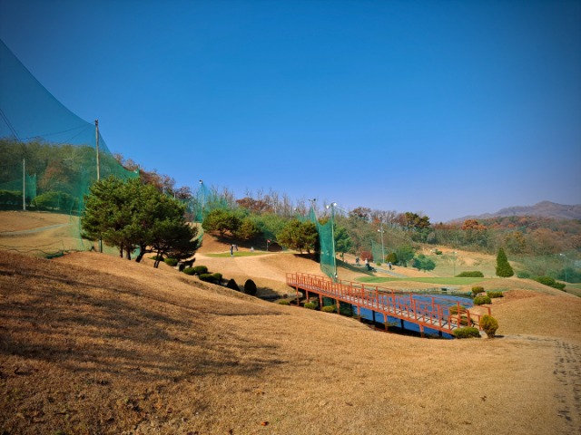 55.jpg